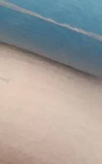 کاه نخود