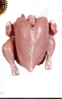 غذای سگ