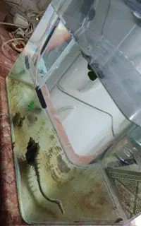 اکواریوم ۴۵×۳۵