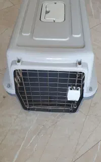 باکس گربه و سگ