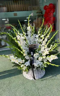 تاج گل و انواع