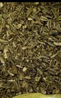 پوکه آفتاب گردان برای حیوانات