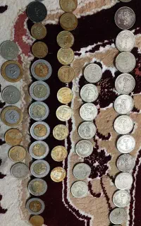 فروشی هستن