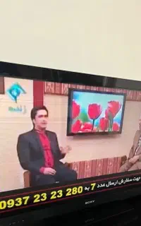 تلویزیون ۴۶ اینچ