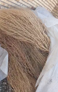 جارو