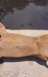 دو عدد مشکه دستی