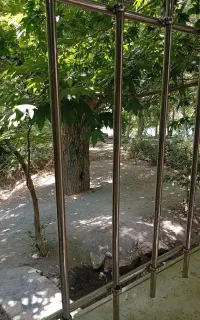 ویلانزدیک اب ،همراه،رفتینگ،میباشد،