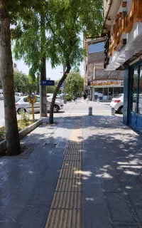 جلوبندی وترمز وسیم کلاچ برق خودرو