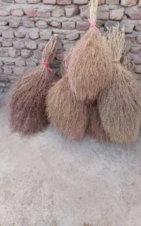 جارومحلی بوته 300تومان نرم عالی