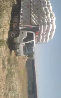 کاه گندم
