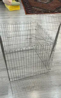 پارک سگ