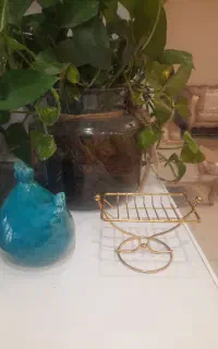جااسکاجی شیک و نو