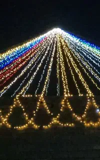 ریسه چمن باند تالار و نورپردازی واستیج و پیست رقص