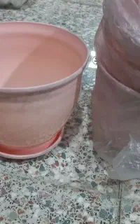 گلدان نو