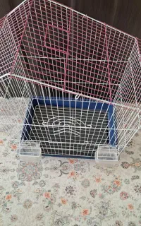 قفس پرنده