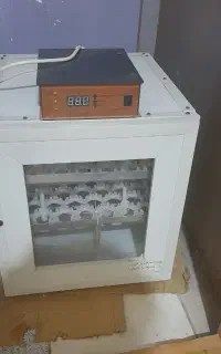 دستگاه جوجه کشی