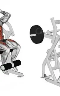 برنامه تمرینی و مشاوره