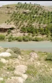 مجتمع تفریحی و گردشگری