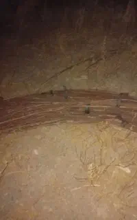 سیخو اجاره ای هست
