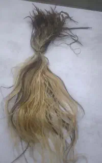 مو طبیعی