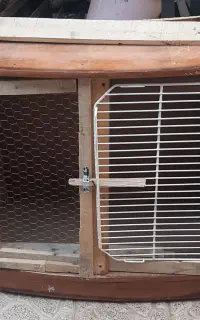قفس