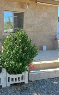 باغبان و باغبانی