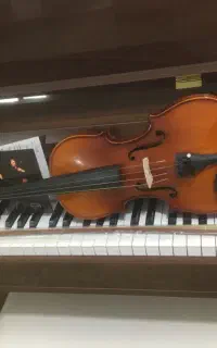 ویولن