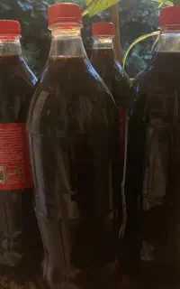 آب نارنج ارگانیک و غلیظ(چاشنی غذا)