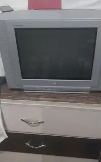 تلوزیون