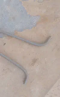 شادگان