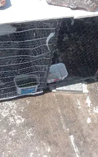قفس