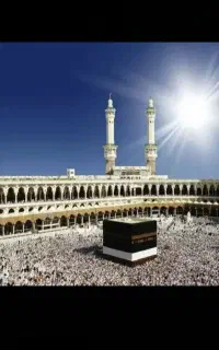 خریدوفروش فیش حج تمتع و عمره حاج محمد حسین کوتی