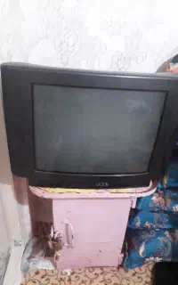 تلویزیون