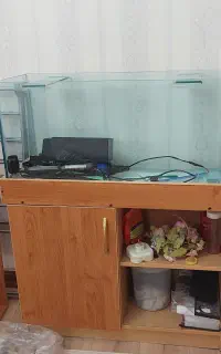 آکواریوم کامل + همه وسایل