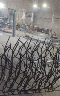 حفاظ شاخ گوزنی روی دیوار (آقای خاص)
