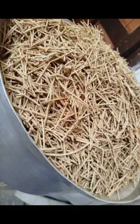 رشته پلویی و آشی