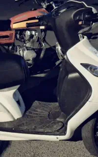 وگو 95