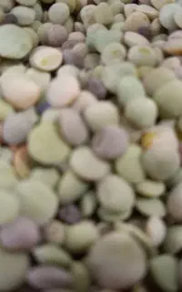 فروش عدس ۲۹۰۰۰۰تومان