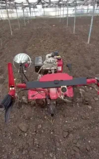 انجام امور تیلر زنی