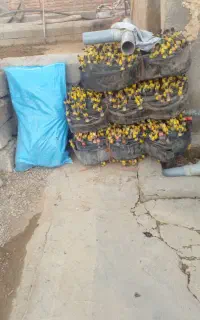 فیلتر اب ۴ اینج