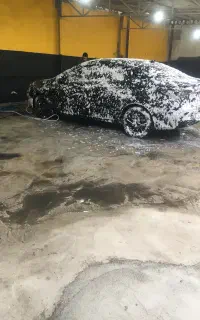 نیروی کار کارواش