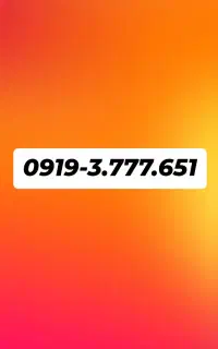 0919 رند