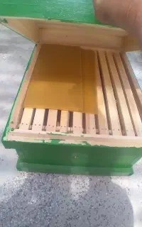 صندوق زنبور عسل