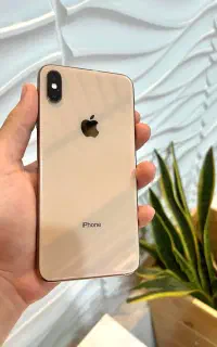 Xs Max 256