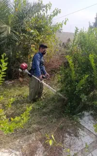 علف زنی و خدمات کشاورزی الوار