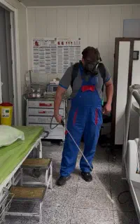 سمپاشی فوری تخصصی باضمانت نامه کتبی سوسک موش و...