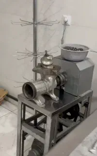 چرخ گوشت