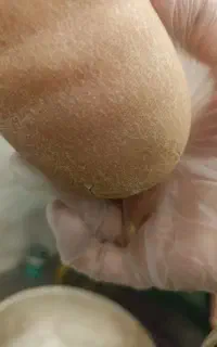 خدمات زیبایی
