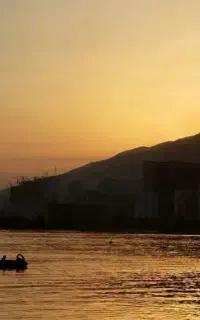 راننده لودر و بیل مکانیکی هستم جویای کار