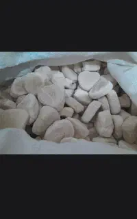 فروش کشک گوسفندی